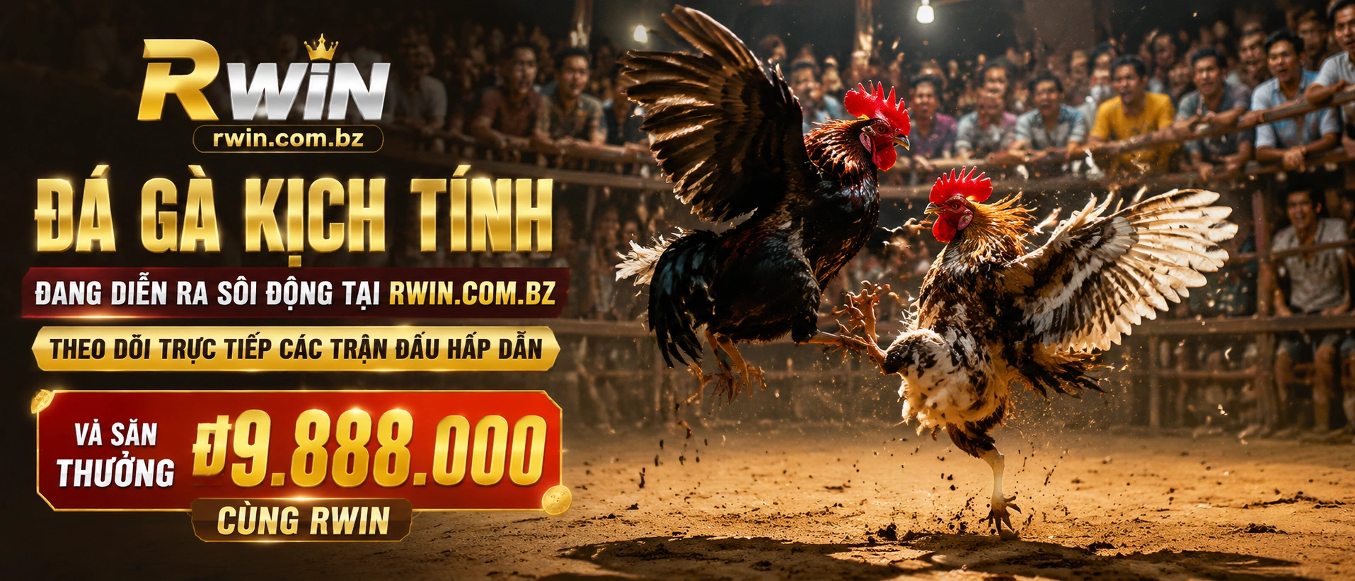 Đá Gà Cựa Sắt trên rwin.com.bz