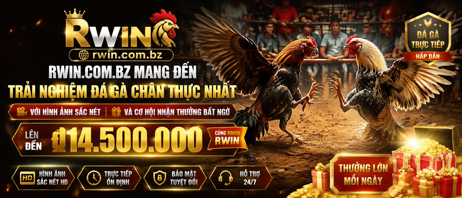 Đá Gà Trực Tiếp trên rwin.com.bz